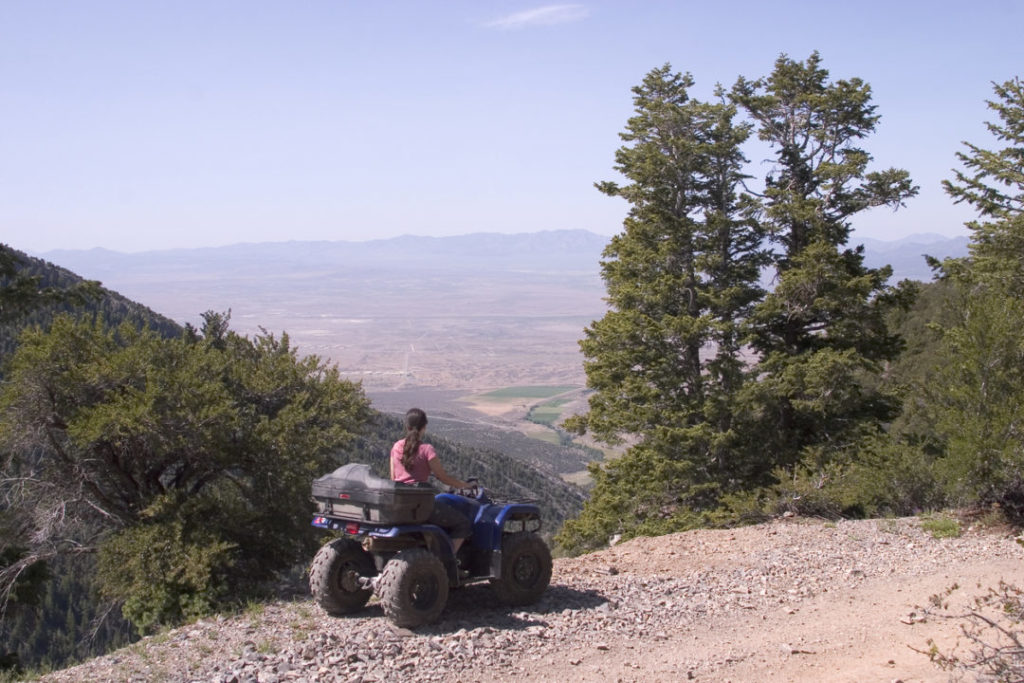 Injury Quad Bike